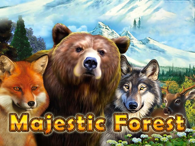 Majestic Forest