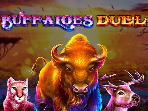 Buffaloes Duel